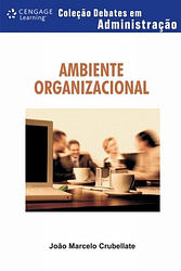 Ambiente Organizacional