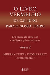 O Livro Vermelho de C. G. Jung para o Nosso Tempo Vol. 2