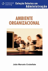 Ambiente Organizacional